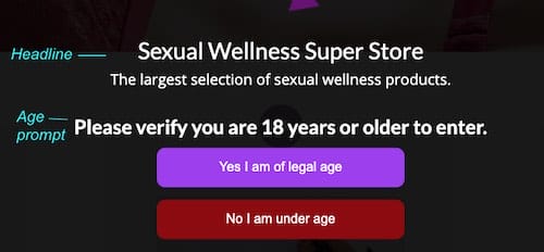 Screenshot showing age prompt and headline text on age popup