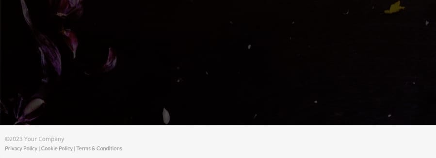 Dynamic Copyright Year features